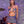 Spice Stars Outfit  KF70251