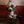 Cos cat suit   KF70146
