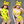 cosplay yellow  bikini KF90048
