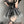 cosplay devil bunny girl     KF70275