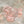 pink lace panties  KF83972