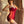 Tulle See-Through Suspender Dress  KF83948