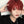 Harajuku  Red  Wig KF82514