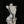 Black silk temptation suit  KF83929