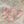 pink lace panties  KF83972