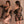 black butterfly underwear  KF705741