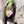 Y2K Lizard Green Wig  KF11247