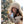 Christmas white sweater knitted dress    KF70429