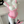 Cute bunny suit  KF1382