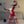 Red/Black Cosplay Bunny Girl Dress KF90053