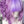 lolita purple wig   KF11038