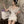 Pure lust butterfly skirt    KF705675