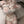 Cosplay Bridal Uniform Set  KF70202