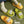 Cartoon non-slip slippers KF82616