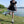 Lovely lace skirt  KF81999