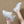 Chic casual shoes KF82943