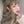 Cute long roll wig  KF80054