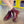 ULZZANG MARTIN BOOTS  KF30306