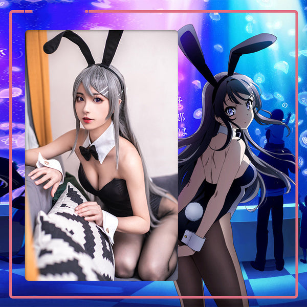 Bunny girl cosplay suit  KF82866