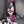 Fuchsia erotic lingerie  （SUIT）KF82738