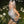 Silver Camisole  KF83615