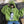 Harajuku sweater hoodie  KF24034