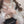 Turtleneck bottoming shirt KF81534
