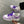 Ulzzang Purple Sneakers   KF82629