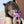 unzzy cat ear hairpin (pair) KF50085