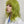 Green short roll wig KF9226