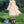 Chic mesh dress KF81455