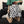 Harajuku Dairy Skirt KF90323