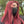 RED LONG STRAIGHT WIG  KF82913