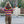 Rainbow Striped Sweater KF9488