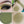 Green Matte Eyeshadow MK0037