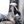 Bunny girl suit KF81976