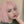 Harajuku pink short wig KF81272