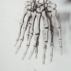Bone paw hair clip KF9315