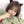 unzzy cat ear hairpin (pair) KF50085