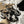 Cow Graffiti Snow Boots  KF83048