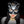 Halloween fox mask KF82302