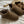 Cow Graffiti Snow Boots  KF83048
