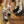 DARK MARY JANE SHOES   KF82372