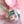 Gameboy Angel Purse KF30036