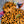 Vintage Leopard Plush Hooded   KF83345